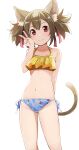  1girl animal_ears bikini cat_ears cat_tail hair_ribbon highres hiroki_(yyqw7151) looking_at_viewer navel red_eyes red_ribbon ribbon short_hair silica silica_(sao-alo) simple_background smile solo standing swimsuit sword_art_online tail thighs twintails white_background 