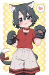  1girl :d animal_ear_fluff animal_ears animal_hands bangs black_hair black_legwear blue_eyes blush border breasts cat_ears cat_tail collar commentary eyebrows_visible_through_hair gloves gradient gradient_background grey_shorts hair_between_eyes hands_up head_tilt heart highres kaban_(kemono_friends) kemono_friends kemonomimi_mode looking_at_viewer no_hat no_headwear open_mouth orange_background outside_border pantyhose paw_gloves polka_dot polka_dot_background ransusan red_collar red_ribbon red_shirt ribbon shirt short_hair short_sleeves shorts simple_background small_breasts smile solo spoken_heart tail tail_ornament tail_ribbon white_border 
