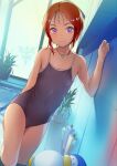  1girl bangs bird blue_swimsuit blush collarbone commentary_request commission competition_school_swimsuit cowboy_shot elpeo_puru flat_chest gundam gundam_zz highres looking_at_viewer one-piece_swimsuit orange_hair penguin plant ponytail poolside potted_plant purple_eyes school_swimsuit short_hair skeb_commission smile sody solo swimsuit wet window 