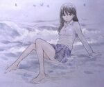  1girl bare_legs barefoot bird closed_mouth expressionless full_body highres long_hair looking_at_viewer low_twintails miniskirt muted_color ocean original outdoors sekiguchi_taro shirt sitting skirt traditional_media twintails waves wet wet_clothes wet_shirt white_shirt 