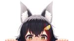  1girl absurdres animal_ear_fluff animal_ears bangs black_hair commentary_request eyebrows_visible_through_hair hair_between_eyes hair_ornament hands_up highres hololive looking_at_viewer multicolored_hair ookami_mio peeking portrait red_hair simple_background solo starkamisan streaked_hair virtual_youtuber white_background wolf_ears wolf_girl yellow_eyes 