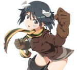  1girl animal_ears bandaid bandaid_on_face black_hair blue_eyes blush brave_witches breasts brown_gloves brown_jacket commentary_request dog_ears eyebrows_visible_through_hair gloves jacket kanno_naoe looking_at_viewer nanashino open_mouth panties scarf shiny shiny_hair short_hair simple_background small_breasts solo striker_unit underwear white_background white_panties world_witches_series 