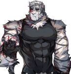  1boy animal_ears arknights bandaged_hand bandages bara bare_arms bare_shoulders black_tank_top blood blood_on_face blood_on_hands covered_abs covered_navel furry furry_male graysheartart highres large_pectorals male_focus mountain_(arknights) muscular muscular_male pectorals scar scar_across_eye shirt short_hair sleeveless solo tank_top taut_clothes taut_shirt tiger_boy tiger_ears upper_body white_background white_fur white_hair 