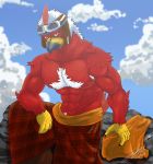  2017 abs anthro avian beak biceps bird claws clothed clothing eyewear feathers fur hair headgear jabuhusky male muscular muscular_male nipples orange_eyes outside partially_clothed pecs plaid pose red_fur rock sitting sky white_fur 