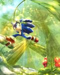  1boy animal_nose flower forest furry furry_male giant_tree green_eyes grin holding jungle male_focus nature outdoors plant red_flower red_footwear rock shoes smile solo sonic_(series) sonic_adventure_2 sonic_the_hedgehog sunlight tondamanuke tree vines 