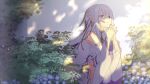  1girl bare_shoulders dappled_sunlight emilia_(re:zero) flower frilled_sleeves frills hair_flower hair_ornament hari611 highres light_rays long_hair own_hands_clasped own_hands_together plant purple_eyes re:zero_kara_hajimeru_isekai_seikatsu ribbon rose silver_hair solo squatting sunbeam sunlight thighhighs white_flower white_rose wide_sleeves 