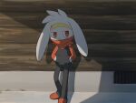  against_wall arinsu_(kodamamaimai) commentary grate hands_in_pockets highres looking_to_the_side pokemon pokemon_(creature) raboot red_eyes shadow solo standing toes 
