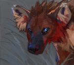 ambiguous_gender blood blood_on_face bodily_fluids brown_body brown_ears brown_fur cheek_tuft colored_sketch facial_tuft famir_(artist) feral fur grey_background head_tuft hyena inner_ear_fluff looking_at_viewer mammal simple_background sketch solo tan_body tan_fur tan_inner_ear_fluff tuft