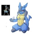 anthro generation_4_pokemon hi_res lucario male muscular muscular_male n2ao nintendo pokemon pokemon_(species) simple_background solo