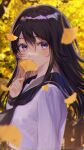  1girl autumn autumn_leaves bangs black_hair black_neckerchief black_sailor_collar blush closed_mouth commentary_request day falling_leaves from_side highres holding holding_leaf leaf long_hair long_sleeves looking_at_viewer looking_to_the_side neckerchief original outdoors p2_(uxjzz) purple_eyes sailor_collar school_uniform serafuku shirt solo white_shirt 