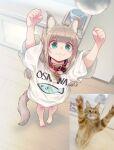  1girl 40hara :3 animal_print arms_up bangs barefoot blonde_hair blunt_bangs blush buckle cat cat_tail chromatic_aberration clenched_hands collar counter fish_print from_above green_eyes highres kinako_(40hara) long_hair looking_at_viewer motion_blur name_tag original oversized_clothes oversized_shirt photo_inset pigeon-toed red_collar reference_inset shirt sidelocks solo standing tail white_shirt wooden_floor 