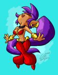 breasts cleavage clothed clothing ear_piercing ear_ring eyes_closed female footwear genie hair hi_res humanoid humanoid_pointy_ears long_hair not_furry omar2203 piercing ponytail purple_hair ring_piercing shantae shantae_(series) signature simple_background solo wayforward