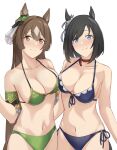  2girls animal_ears arm_around_waist armband bikini black_hair blue_bikini blue_eyes bob_cut breasts brown_eyes brown_hair choker cleavage closed_mouth ear_scrunchie eishin_flash_(umamusume) frilled_armband frills front-tie_bikini_top front-tie_top green_bikini green_scrunchie halterneck horse_ears horse_girl large_breasts long_hair looking_at_viewer multiple_girls red_choker saruno_(eyesonly712) satono_diamond_(umamusume) scrunchie short_hair side-by-side side-tie_bikini_bottom simple_background smile standing swimsuit umamusume very_long_hair white_background white_scrunchie 