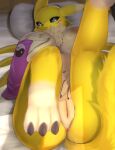 :&lt; absurd_res anthro anus bandai_namco bed breasts digimon digimon_(species) female furniture genitals hi_res hopping4 looking_at_viewer pussy renamon solo
