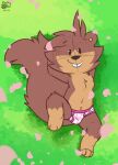 bo_(nutty_bo) briefs brown_body clothed clothing fur grass hair hi_res looking_at_viewer mammal nutty_bo outside plant presenting rodent sciurid smile spread_legs spreading spring_(season) tail tree_squirrel underwear