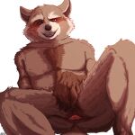 1:1 absurd_res anthro anus brown_body brown_fur butt claws fangs fur guardians_of_the_galaxy hi_res irrationalgeek looking_at_viewer male mammal marvel nude presenting presenting_anus presenting_hindquarters procyonid raccoon rocket_raccoon seductive simple_background solo teeth tongue tongue_out whiskers