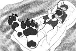 absurd_res anthro avian balls bird corvid corvus_(genus) crow feet foot-paws foot_focus free genitals hi_res humanoid lemoncrow male oscine passerine paws penis solo summer water