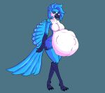  a.u.tumn anthro avian beak belly big_belly big_breasts bird blue_body blue_eyes blue_fur blue_hair breasts bulge digestion feathers female fur hair navel nude same_size_vore solo tail vore 