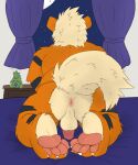  anthro anus backsack balls bed butt canid canine furniture generation_1_pokemon genitals growlithe male mammal night nintendo nude pawpads penis peppygrowlithe pokemon pokemon_(species) sky solo window 