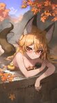  1girl animal_ear_fluff animal_ears arm_support autumn autumn_leaves barefoot bathing blonde_hair blush closed_mouth collarbone commentary completely_nude extra_ears ezo_red_fox_(kemono_friends) fox_ears fox_girl fox_tail highres kemono_friends leaf long_hair looking_at_viewer maple_leaf melaton nude onsen orange_eyes partially_submerged rock rubber_duck solo steam tail very_long_hair water wet 
