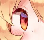  1girl aki_minoriko arinu bangs blonde_hair blush close-up commentary_request eye_focus hair_between_eyes leaf looking_at_viewer red_eyes solo touhou unfinished 