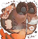  &lt;3 2021 ailurid anthro anus asian_clothing balls blush brown_body brown_fur buta5kawa butt clothing east_asian_clothing fundoshi fur genitals hi_res humanoid_hands japanese_clothing kemono lying male mammal musk overweight overweight_male red_panda solo underwear white_clothing white_fundoshi white_underwear 