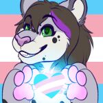  1:1 bell collar domestic_cat felid feline felis female fluffy highlights_(coloring) lgbt_pride mammal pantherine pride_colors purple_highlights rin_(kittyrin) single_stripe snow_leopard transgender_pride_colors veepaws 