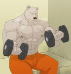  abs absurd_res anthro beastars biceps bodily_fluids bottomwear brown_bear brown_nose chest_scar claws clothing exercise hi_res jabuhusky male mammal muscular muscular_anthro muscular_male nipples orange_clothing pants pecs prison_uniform riz_(beastars) scar shirtless simple_background sitting solo sweat sweatdrop tufted_fur ursid ursine weightlifting workout 