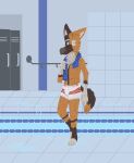  anthro athletic canid canine clothing fox looking_at_viewer male mammal pecs ricthecusco skinny solo swimming_pool towel underwear wet wet_clothing wet_underwear 