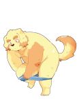  anthro belly bird_dog blush butt canid canine canis clothing cu_sith_(tas) domestic_dog ginsingoo1 golden_retriever hunting_dog lifewonders male mammal nude overweight retriever solo tokyo_afterschool_summoners underwear_around_legs undressing video_games 