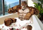 2021 abs anthro bathing bathtub beverage black_nipples claws container cup detailed_background felid feline foam hi_res holding_object inside itymnro looking_at_viewer male mammal muscular muscular_male nipples pantherine pecs petals plant sitting solo stripes tiger tree water whiskers window 
