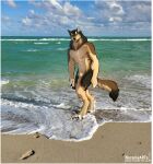  2021 animal_genitalia anthro beach black_body black_fur brown_body brown_fur canid canine canis casual_nudity digitigrade fully_sheathed fur genitals hi_res male mammal multicolored_body multicolored_fur nozomyarts pawpads paws photo_background seaside sheath solo tan_body tan_fur wolf yellow_eyes 