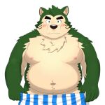  1:1 anthro belly blush boxers_(clothing) canid canine canis clothing domestic_dog embarrassed eyebrows fur green_body green_fur lifewonders live-a-hero male mammal mokdai moobs navel neck_tuft nipples overweight simple_background solo thick_eyebrows tuft underwear undressing video_games white_background yaki_atsuage 