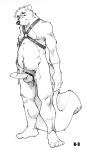  2003 accessory anthro artist_name balls belly biped circles_(comic) cock_ring erection eyebrows fluffy fluffy_tail genitals glans greyscale harness harness_only head_tuft jewelry k-9 leather leather_harness long_tail looking_at_viewer male mammal martin_miller mephitid monochrome navel nude penis penis_accessory penis_jewelry plantigrade pubes seductive sketch skunk slightly_chubby slightly_chubby_anthro slightly_chubby_male smile solo standing three-quarter_view traditional_media_(artwork) tuft vein veiny_penis 