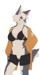  anthro big_breasts biped black_bottomwear black_bra black_clothing black_nose black_shorts black_underwear blue_eyes bottomwear bra breasts canid canine canis claws cleavage clothed clothing countershade_face countershade_fur countershade_legs countershade_tail countershade_torso countershading digital_media_(artwork) domestic_dog elele eyelashes female finger_claws fluffy fluffy_tail front_view fur glistening glistening_body glistening_breasts glistening_fur grey_body grey_ears grey_fur grey_tail hair hand_on_hip hi_res humanoid_hands inner_ear_fluff jacket kemono looking_away mammal midriff monotone_ears monotone_hair multicolored_body multicolored_fur navel open_clothing open_jacket open_topwear partially_clothed pink_inner_ear portrait shorts simple_background snout solo sports_bra standing three-quarter_portrait topwear tuft two_tone_body two_tone_fur two_tone_tail underwear unzipped white_background white_body white_countershading white_fur white_hair white_inner_ear_fluff white_tail yellow_clothing yellow_jacket_(clothing) yellow_topwear 