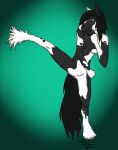  2012 anthro balancing black_body black_fur black_hair black_mane blue_eyes breasts equid equine featureless_breasts featureless_crotch female fist flexible fur gradient_background green_background hair hi_res hooves horse ixxi karate kick mammal mane martial_arts multicolored_body multicolored_fur nude on_one_leg raised_leg signature simple_background smile solo standing two_tone_body two_tone_fur white_body white_fur 