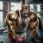  anthro artist_name belt benji_(character) biceps big_muscles bodily_fluids brown_body brown_fur bulge clothed clothing clouded_leopard digital_media_(artwork) ear_piercing exercise felid fully_clothed fur gym hi_res huge_muscles mainlion male mammal muscular muscular_anthro muscular_male pantherine pecs piercing pose shirt solo spots spotted_body spotted_fur sweat sweatdrop tank_top text topwear workout wristband 