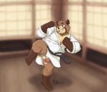  2020 4_toes 5_fingers anthro balls black_nose brown_body brown_fur canid canine casual_exposure circumcised digital_drawing_(artwork) digital_media_(artwork) dojo eyebrows feet fingers flaccid fur genitals glans hi_res inkart_flow inside karate keikogi male mammal martial_arts_uniform nails penis pose raccoon_dog smile solo sportswear tan_body tan_fur tanuki teeth toenails toes 