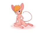  2019 anthro blonde_hair blue_eyes blush breasts buckteeth chip_&#039;n_dale_rescue_rangers disney female gadget_hackwrench genitals hair hi_res mammal mouse murid murine navel nipples nude open_mouth pink_body pink_nose pussy qrog rodent solo teeth 