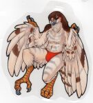  accipiter accipitrid accipitriform anthro avian badge beak bird bird_feet brown_body brown_feathers brown_markings cheek_markings clothing eurasian_sparrowhawk facial_markings feathered_wings feathers head_markings hi_res lief_woodcock male markings orange_markings panties ryuuyouki solo tail_feathers tan_body tan_feathers true_hawk underwear winged_arms wings yellow_eyes 