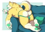  anthro bulge butt canid canine canis clothed clothing domestic_dog fur furniture green_eyes green_nose green_pawpads green_tongue hi_res husky jockstrap kyo_(kyokyo99) male mammal nordic_sled_dog pawpads perineum pillow sofa solo spitz tongue tongue_out topless underwear vitaminbara yellow_body yellow_fur 
