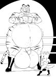  a-side anthro ball_size_difference balls beastars belly big_balls big_belly bill_(beastars) boots boxing boxing_gloves canid canine clothing duo felid fennec fighting_ring footwear fox genitals handwear hi_res huge_balls humanoid hyper hyper_balls hyper_belly hyper_genitalia male male/male mammal monochrome nude pantherine penis sport tiger voss_(beastars) 