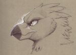  avian beak eye_markings feathered_crest feathers garoline gryphon head_crest hi_res markings monochrome mythological_avian mythology neutral_expression portrait profile saewin solo 