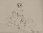  absurd_res anthro biped black_nose bryce_daeless clothing hi_res lutrine male mammal mustelid paws rock sitting solo underwear water zanner_(artist) 