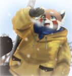 2021 ailurid anthro biped blush clothing cocobucker hi_res humanoid_hands kemono male mammal outside red_panda scarf snow snowing solo sweater topwear 