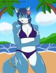  absurd_res anthro beach breasts canid canine clothing female fox fur hair hi_res krystal looking_at_viewer mammal nintendo palm_tree plant seaside smile solo star_fox travis_mayer tree video_games water 