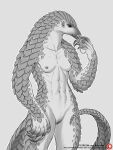  2021 5_fingers anisis anthro areola breasts digital_media_(artwork) female fingers genitals hi_res mammal nipples nude pangolin pubes pussy smile 
