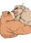  2021 anthro blush bodily_fluids brown_body brown_fur duo embrace fur hi_res hug kemono kissing kotobuki male male/male mammal obese obese_male overweight overweight_male simple_background suid suina sus_(pig) sweat tongue tongue_out ursid white_background wild_boar 