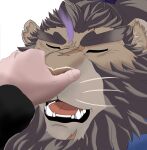  anthro boop brown_body brown_fur duo felid fur hi_res human iroh_art lifewonders lion live-a-hero male mammal mane nose_boop open_mouth pantherine scar solo_focus toshu video_games 