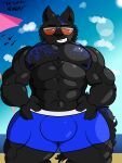  3:4 abs absurd_res anthro beach bulge canid canine canis clothing eyewear hi_res looking_at_viewer male mammal muscular muscular_anthro muscular_male muscular_thighs nipples pecs raccoon_mints seaside solo sunglasses underwear wolf 